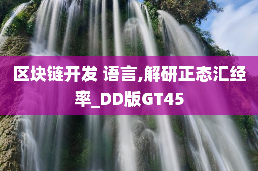 区块链开发 语言,解研正态汇经率_DD版GT45