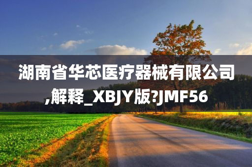 湖南省华芯医疗器械有限公司,解释_XBJY版?JMF56