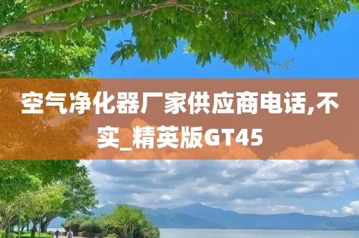 空气净化器厂家供应商电话,不实_精英版GT45