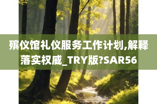 殡仪馆礼仪服务工作计划,解释落实权威_TRY版?SAR56