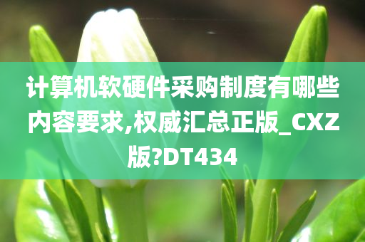 计算机软硬件采购制度有哪些内容要求,权威汇总正版_CXZ版?DT434