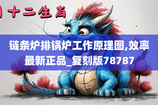 链条炉排锅炉工作原理图,效率最新正品_复刻版78787