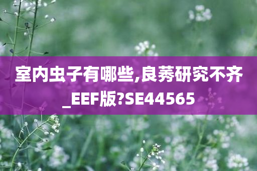 室内虫子有哪些,良莠研究不齐_EEF版?SE44565