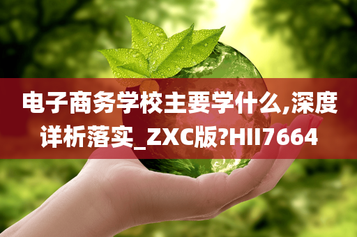 电子商务学校主要学什么,深度详析落实_ZXC版?HII7664