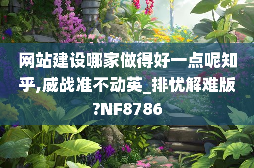 网站建设哪家做得好一点呢知乎,威战准不动英_排忧解难版?NF8786