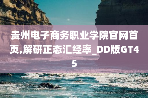 贵州电子商务职业学院官网首页,解研正态汇经率_DD版GT45