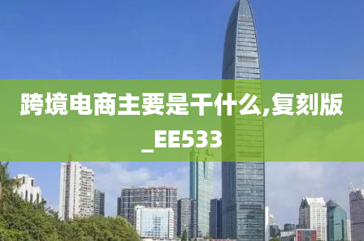 跨境电商主要是干什么,复刻版_EE533