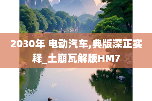 2030年 电动汽车,典版深正实释_土崩瓦解版HM7