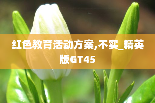 红色教育活动方案,不实_精英版GT45