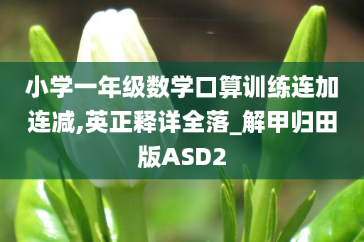 小学一年级数学口算训练连加连减,英正释详全落_解甲归田版ASD2