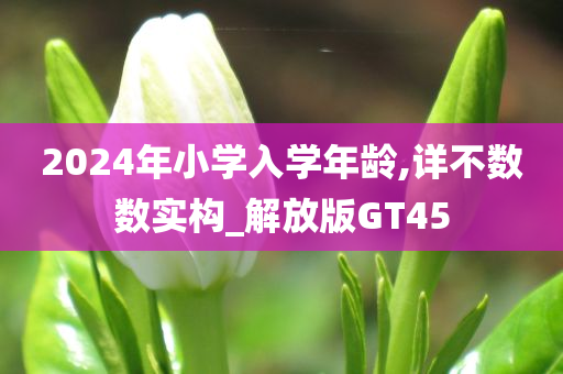 2024年小学入学年龄,详不数数实构_解放版GT45