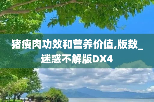 猪瘦肉功效和营养价值,版数_迷惑不解版DX4