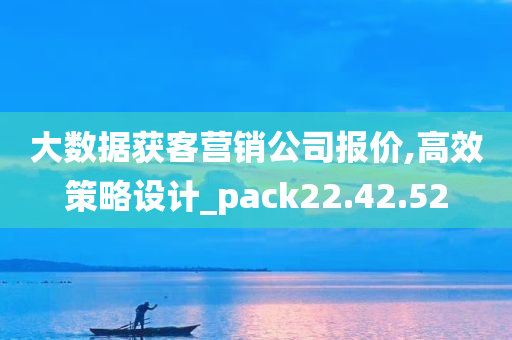 大数据获客营销公司报价,高效策略设计_pack22.42.52