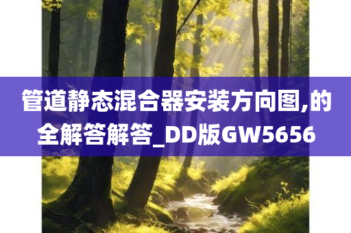 管道静态混合器安装方向图,的全解答解答_DD版GW5656