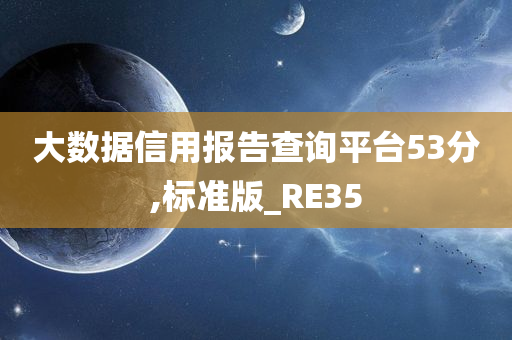 大数据信用报告查询平台53分,标准版_RE35