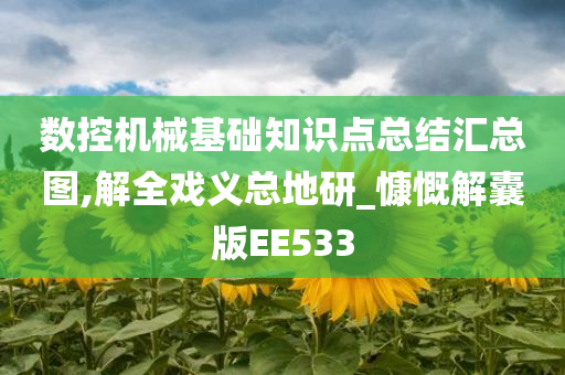 数控机械基础知识点总结汇总图,解全戏义总地研_慷慨解囊版EE533