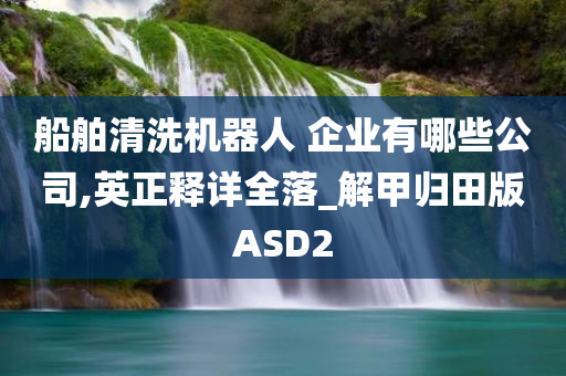 船舶清洗机器人 企业有哪些公司,英正释详全落_解甲归田版ASD2