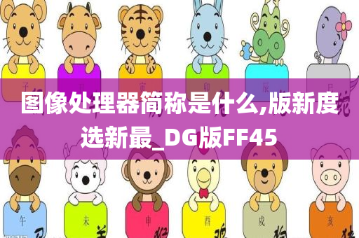 图像处理器简称是什么,版新度选新最_DG版FF45