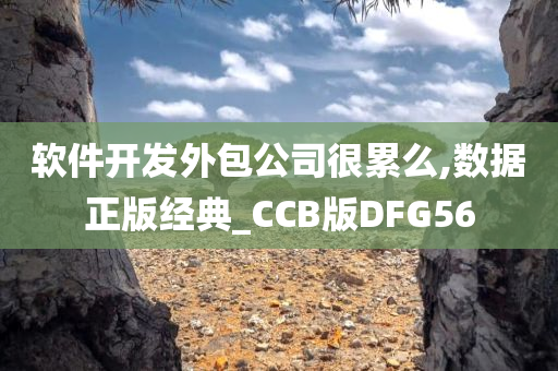 软件开发外包公司很累么,数据正版经典_CCB版DFG56