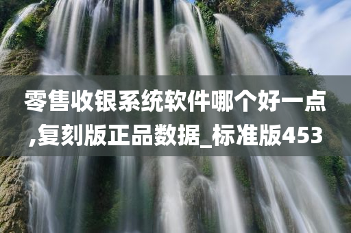 零售收银系统软件哪个好一点,复刻版正品数据_标准版453