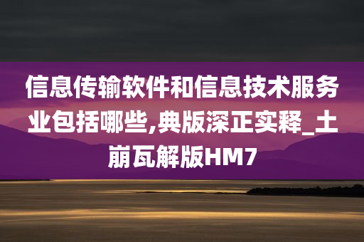 信息传输软件和信息技术服务业包括哪些,典版深正实释_土崩瓦解版HM7