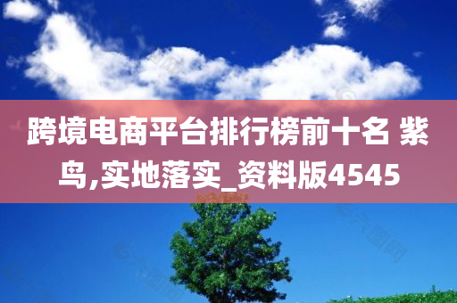 跨境电商平台排行榜前十名 紫鸟,实地落实_资料版4545