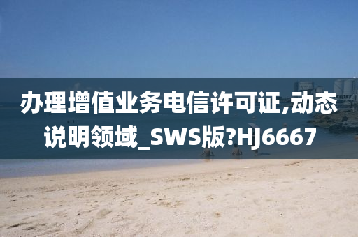 办理增值业务电信许可证,动态说明领域_SWS版?HJ6667