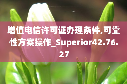 增值电信许可证办理条件,可靠性方案操作_Superior42.76.27