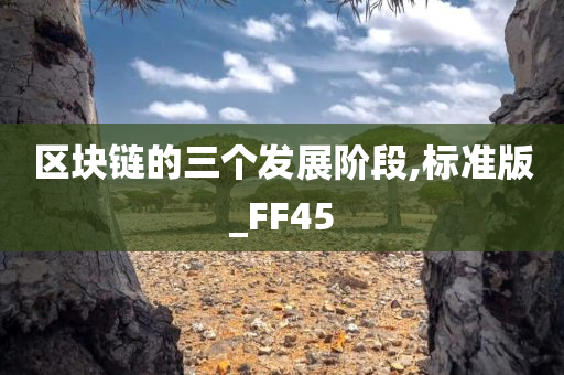 区块链的三个发展阶段,标准版_FF45