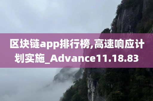 区块链app排行榜,高速响应计划实施_Advance11.18.83