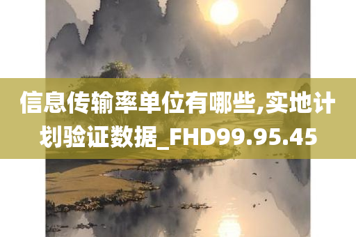 信息传输率单位有哪些,实地计划验证数据_FHD99.95.45