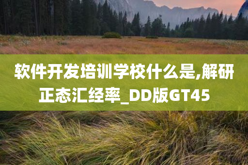 软件开发培训学校什么是,解研正态汇经率_DD版GT45