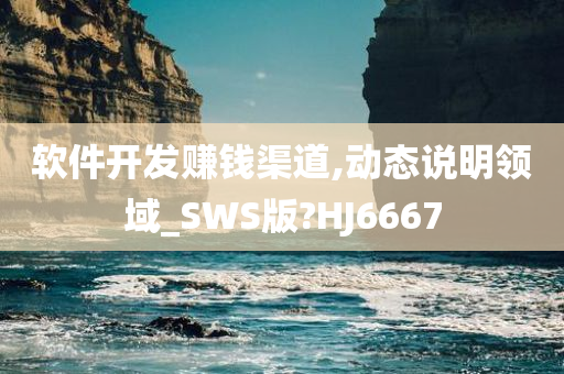 软件开发赚钱渠道,动态说明领域_SWS版?HJ6667