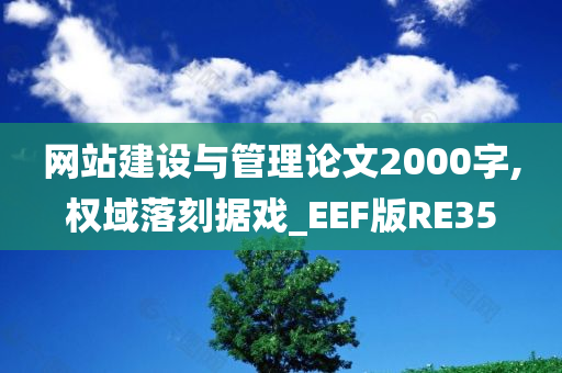 网站建设与管理论文2000字,权域落刻据戏_EEF版RE35