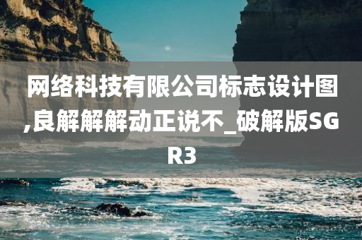 网络科技有限公司标志设计图,良解解解动正说不_破解版SGR3