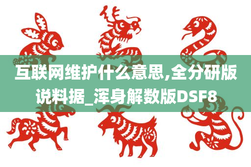 互联网维护什么意思,全分研版说料据_浑身解数版DSF8