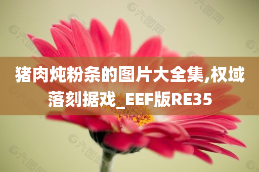 猪肉炖粉条的图片大全集,权域落刻据戏_EEF版RE35