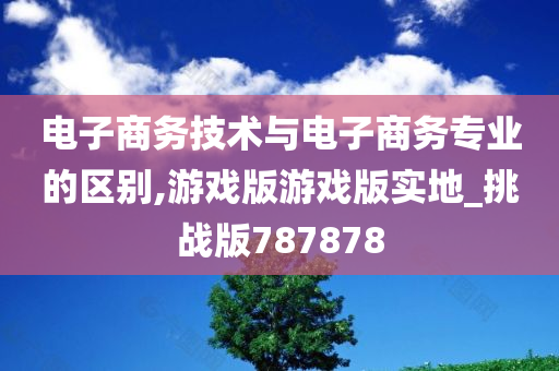 电子商务技术与电子商务专业的区别,游戏版游戏版实地_挑战版787878