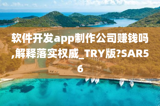 软件开发app制作公司赚钱吗,解释落实权威_TRY版?SAR56