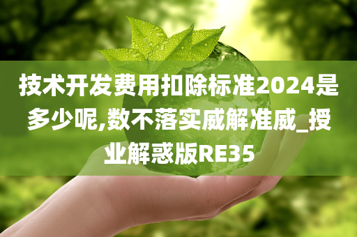 技术开发费用扣除标准2024是多少呢,数不落实威解准威_授业解惑版RE35