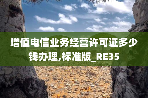 增值电信业务经营许可证多少钱办理,标准版_RE35