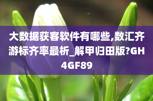 大数据获客软件有哪些,数汇齐游标齐率最析_解甲归田版?GH4GF89