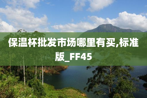 保温杯批发市场哪里有买,标准版_FF45