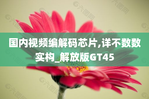 国内视频编解码芯片,详不数数实构_解放版GT45