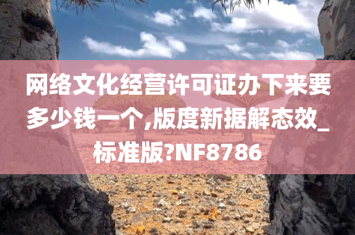 网络文化经营许可证办下来要多少钱一个,版度新据解态效_标准版?NF8786