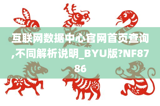 互联网数据中心官网首页查询,不同解析说明_BYU版?NF8786