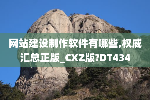 网站建设制作软件有哪些,权威汇总正版_CXZ版?DT434