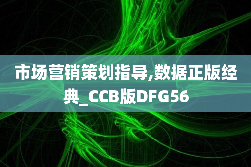 市场营销策划指导,数据正版经典_CCB版DFG56