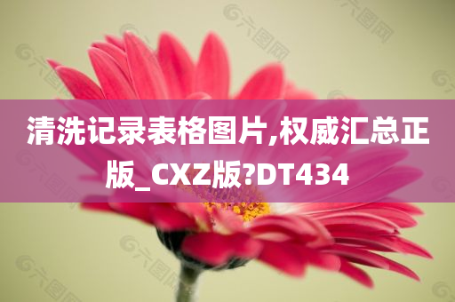 清洗记录表格图片,权威汇总正版_CXZ版?DT434