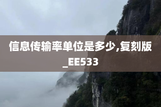 信息传输率单位是多少,复刻版_EE533